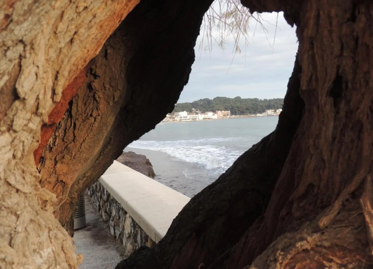 Petit Paradis A Saint Mandrier 1 Chambre Plage A 4 Mn Clim Parking Wifi France
