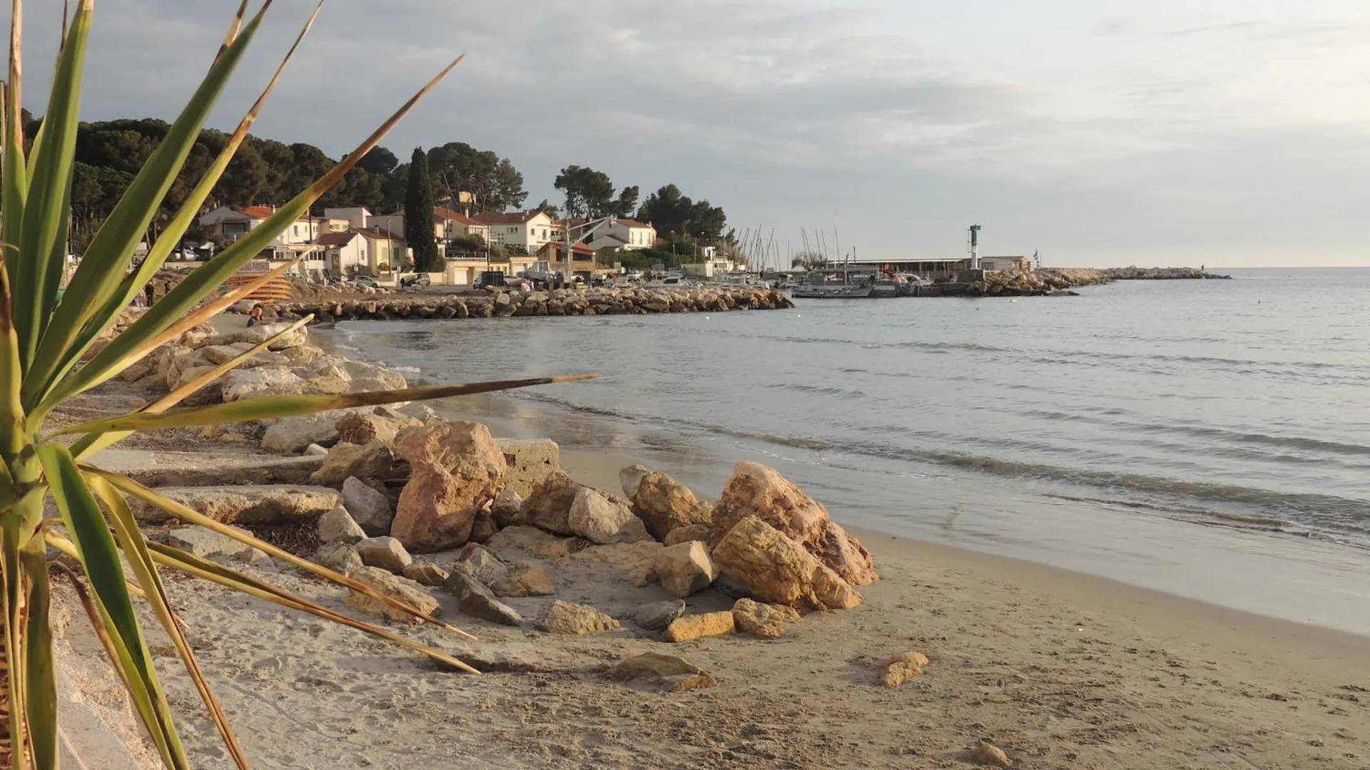 Petit Paradis A Saint Mandrier 1 Chambre Plage A 4 Mn Clim Parking Wifi Apartment