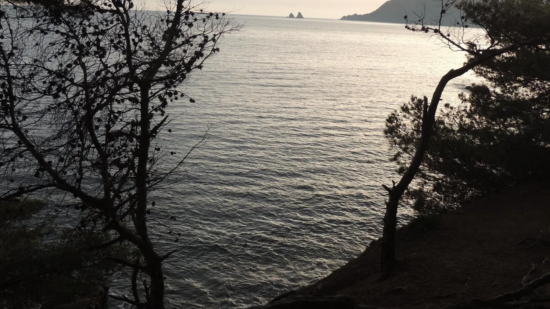 Petit Paradis A Saint Mandrier 1 Chambre Plage A 4 Mn Clim Parking Wifi Saint-Mandrier-sur-Mer