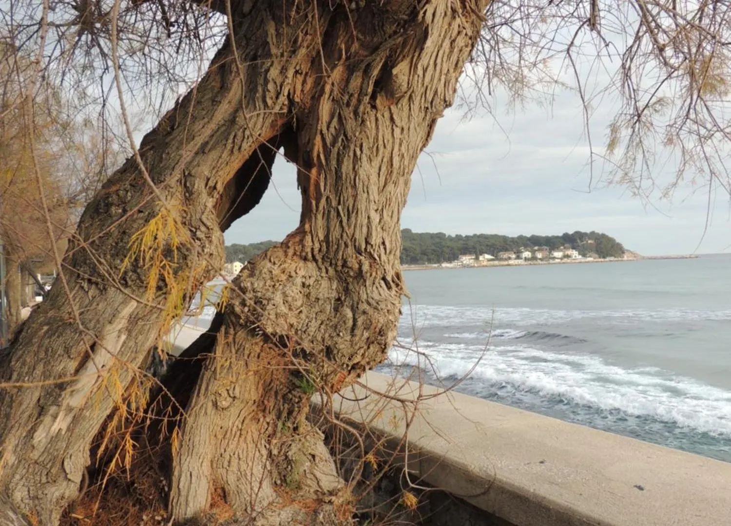 Petit Paradis A Saint Mandrier 1 Chambre Plage A 4 Mn Clim Parking Wifi Apartment Saint-Mandrier-sur-Mer