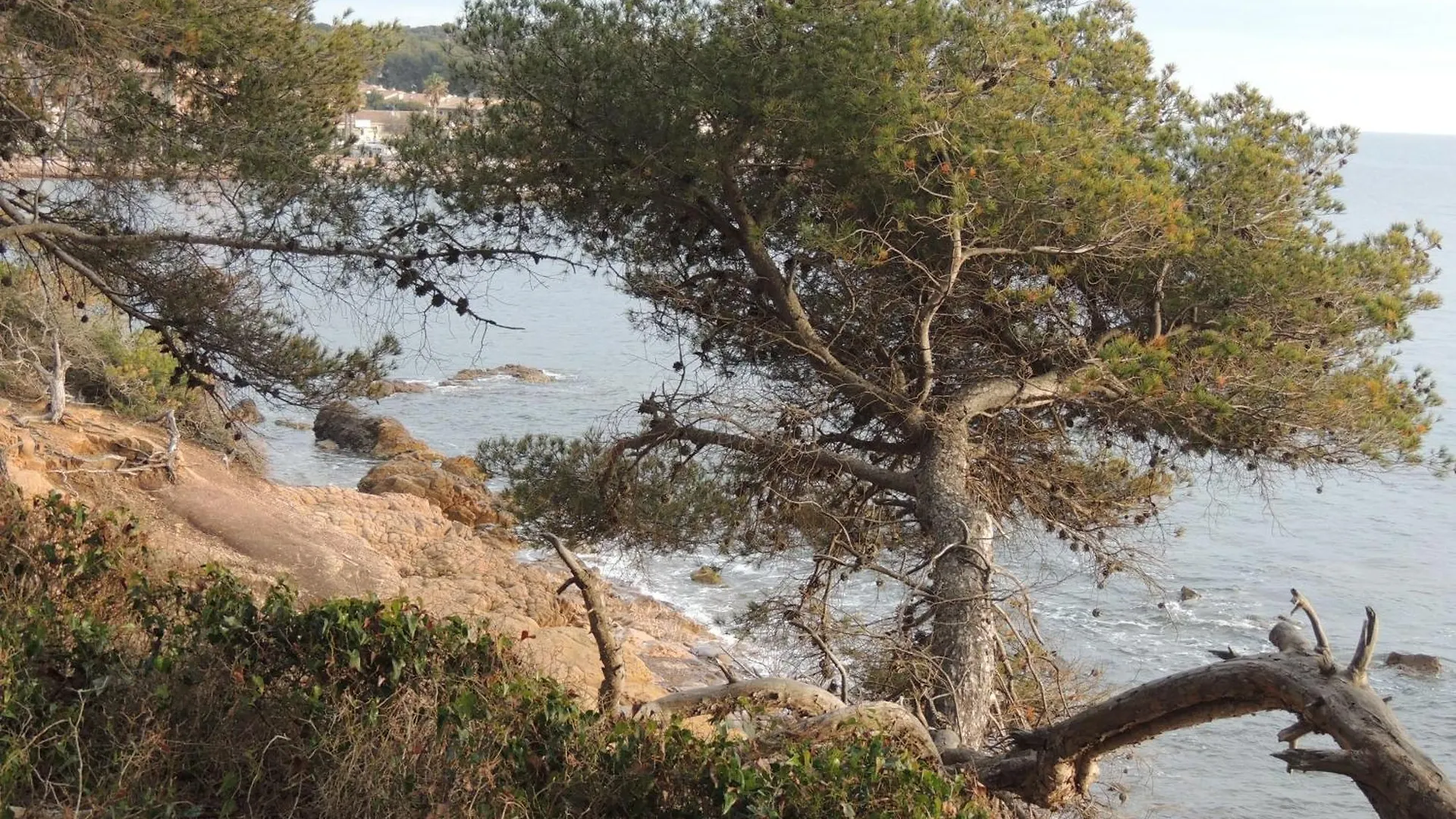 Petit Paradis A Saint Mandrier 1 Chambre Plage A 4 Mn Clim Parking Wifi France